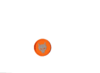 Wolfskopfwebabzeichen orange